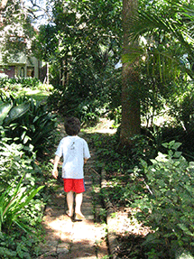 z exploring